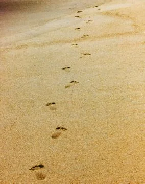 Single pair of footsteps on beach gradually walking away.alone Stock Photos