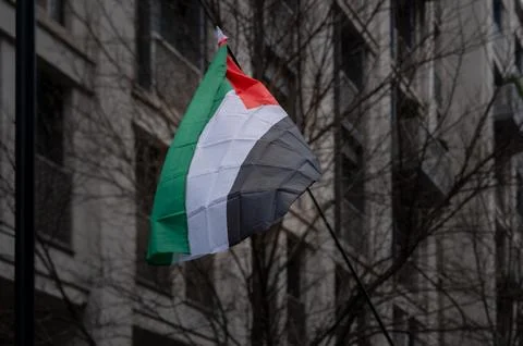 Single Palestinian flag Stock Photos