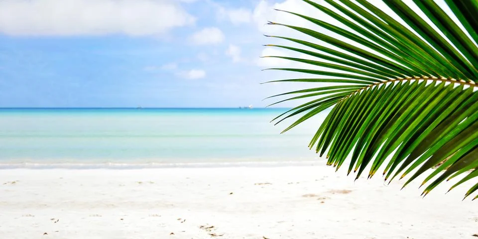 A single palm leaf hangs over a beautiful white sand beach and turquoise water Stock Photos