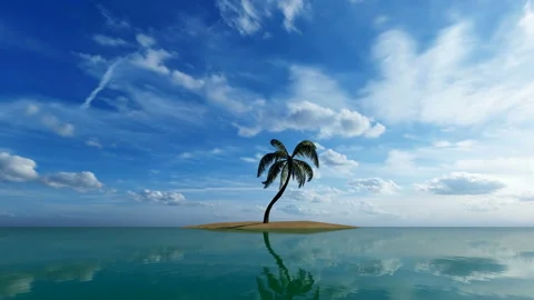 Single Palm tree in the ocean Video stock 143392951
