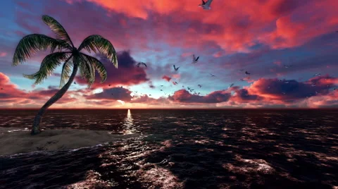 Single Palm Tree on a small Island with Seagulls flying around Stock Footage 64516468