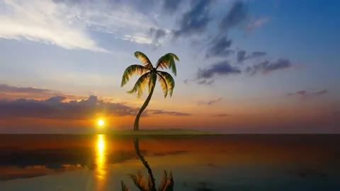 Single palm tree on a small island at sunset Stock Footage 143786504