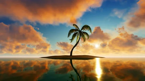 Single palm tree on a small island in the ocean Stock Footage 146888767