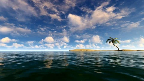 Single Palm Tree surrounded by the sea Stock Footage 108850872
