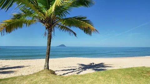 Single Palm Tree on Tropical Beach with Ocean and Distant Island Видео 343256657