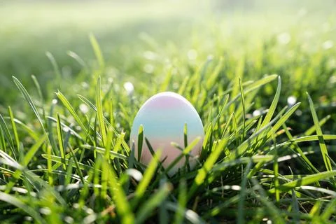 A single pastel Easter egg nestled in lush green grass on a sunny morning 스톡 사진