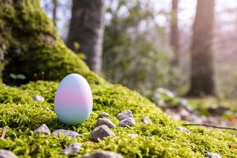 A single pastel Easter egg rests on mossy ground in a sunlit forest Stock Photos