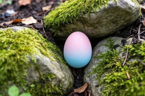 A single pastel gradient Easter egg nestled between moss-covered rocks in n.. Stock Photos