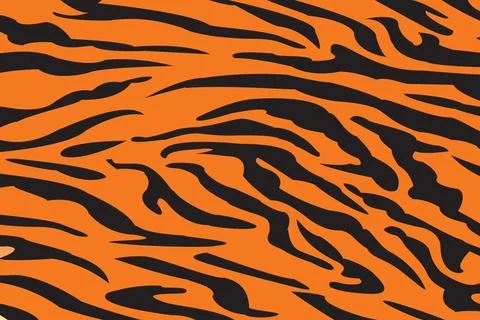 Single pattern of tiger skin in doodle vintage style. Stock Illustration