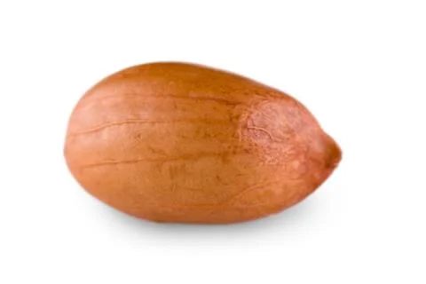 Single peanut Stock Photos