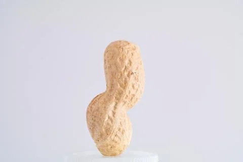 Single peanut in shell macro close up shot vertical curved isolated against w Stock-Fotos