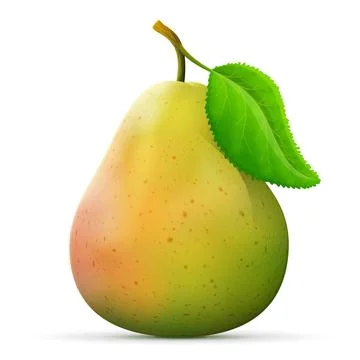 Single pear fruit close up Stock Illustration