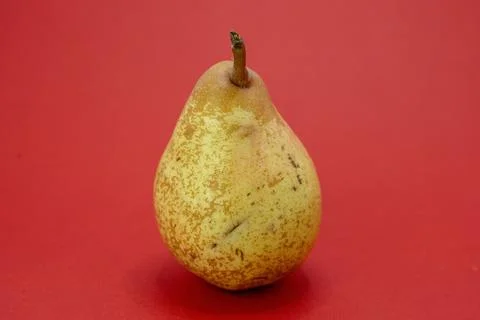 A single pear sits on a red background. Stock Photos
