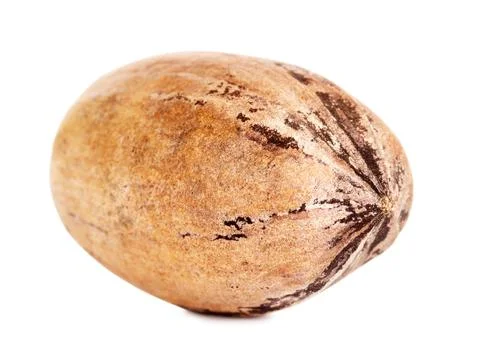 Single Pecan Nut In A Shell Foto stock