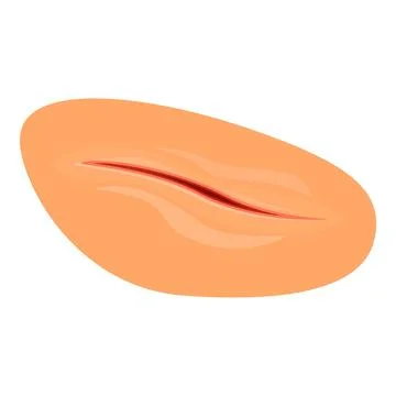 Single peeled peanut isolated on white background showing a red line Stock Illustration