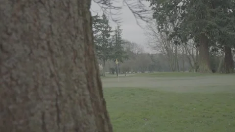 Single person playing a round of golf Stock Footage 147514032
