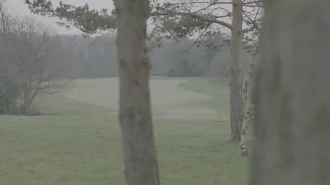 Single person playing a round of golf Stock Footage 147514062