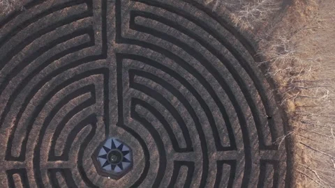 Single Person Walking Circular Hedge Maze Central Star Pattern Aerial Top View Stock Footage 332628548