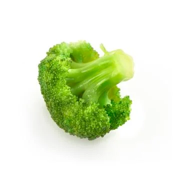 Single piece of broccoli isolated on a white backround with shadow Stock Photos