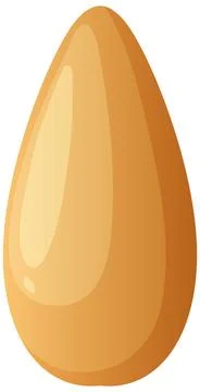 Single Pine Nut Kernel Vector Illustration on White Background Stock Illustration