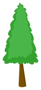 Single pine tree on white background Stock Illustration