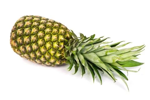 Single pineapple isolated on white Stock Photos