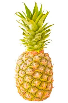 Single pineapple isolated on white Stock Photos