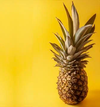 Single pineapple isolated on yellow background, Negative, space for text. Stock Photos