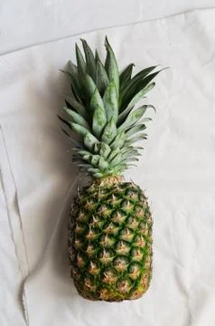 Single pineapple Stock Photos