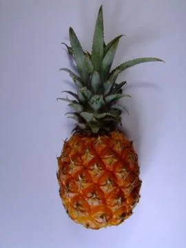A single pineapple Stock Photos