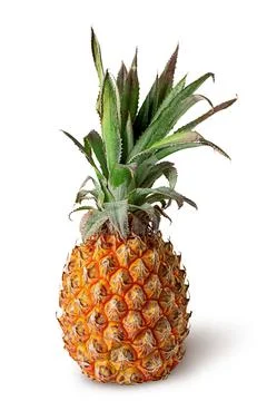 Single pineapple stands isolated on a white Stock-Fotos
