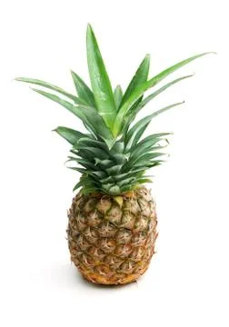 Single pineapple on white Stock Photos