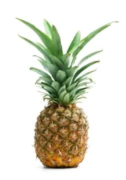 Single pineapple on white Stock Photos