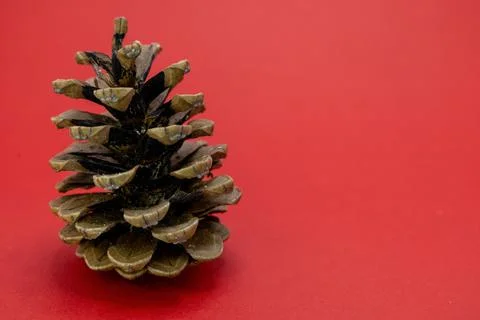 A single pinecone rests on a vibrant red background, evoking a sense of natur Foto stock