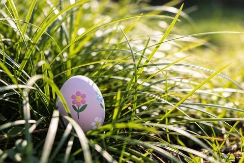 A single pink Easter egg with floral designs hidden in green grass Stock Photos