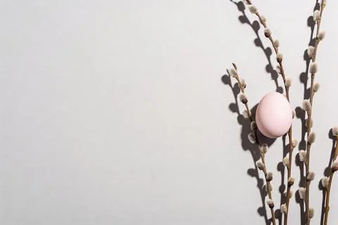 A single pink Easter egg rests on a delicate pussy willow branch with soft .. Stock Photos