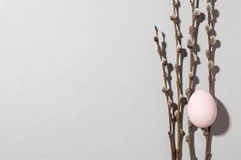 A single pink Easter egg rests on a pussy willow branch against a light gra.. Stock Photos
