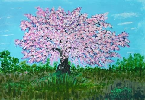 Single pink sakura cherry tree in bloom on field Stock Illustration