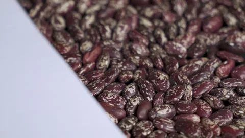 Single pinto bean transition to mass harvest 4k 10bit 120fps Stock Footage 333486007