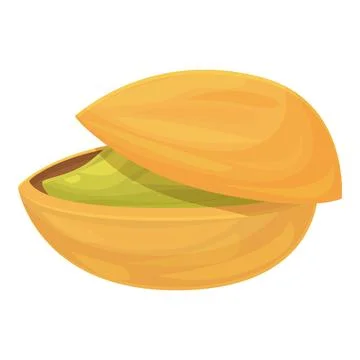Single pistachio nut with open shell showing seed Stock Illustration