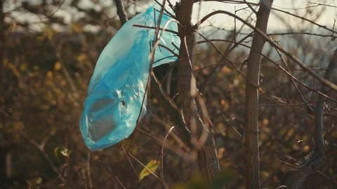 Single plastic bag hanging on green in forest pollution ecosystem problem Stock Footage 119544329