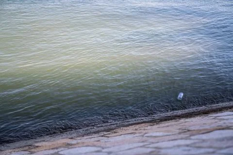 Single plastic water bottle litter washing up on sea bank causing pollution Stock Photos