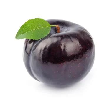 Single plum close up Stock Photos