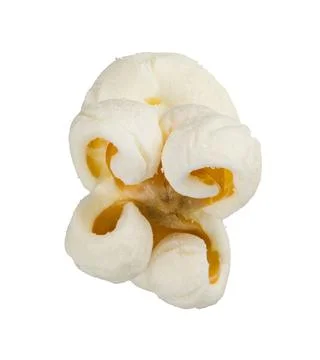 Single popcorn seed, macro shot isolated on white background Stock Photos