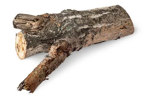 Single poplar log horizontally Stock Photos