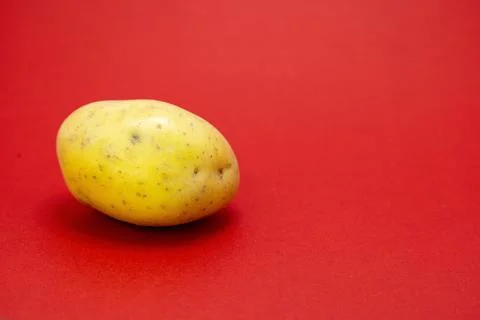 A single potato sits on a red background. Stock Photos