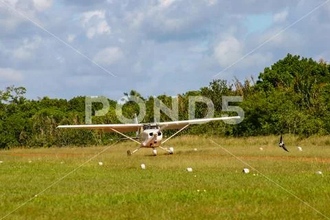 A single propeller plane lands in a grassy field in Bahia, Brazil while a bir Stock Photos