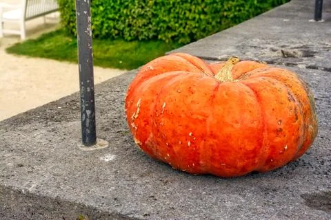 Single Pumpkin on Concrete Ledge Step Daytime Outdoors Autumn Fall Decor Stock Photos