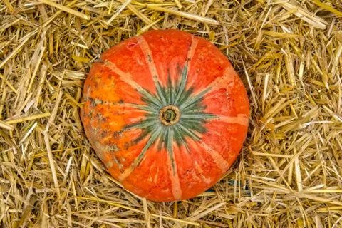 Single Pumpkin on Haystack Farm Decoration Autumn Fall Seasonal Orange Fresh  Stock Photos