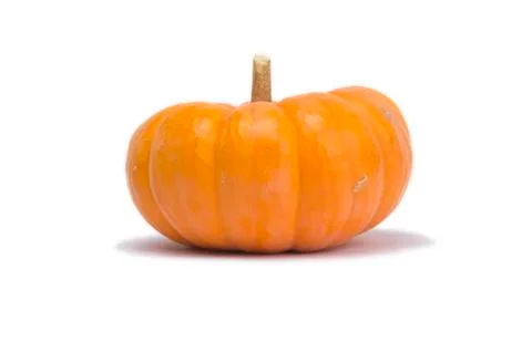 Single pumpkin isolated on white background Stock Photos